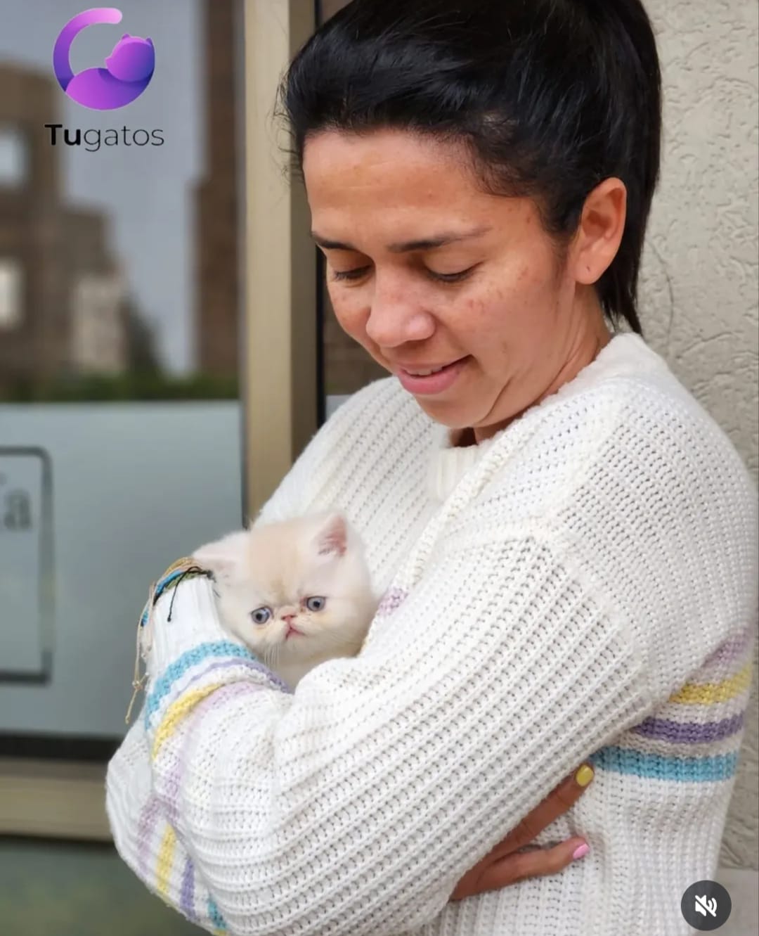Cliente feliz Carlos R. con su gato Persa en Chile 🇨🇱